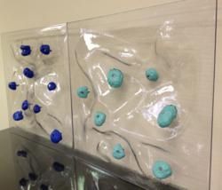 Clear PolyCarbonate Panel
